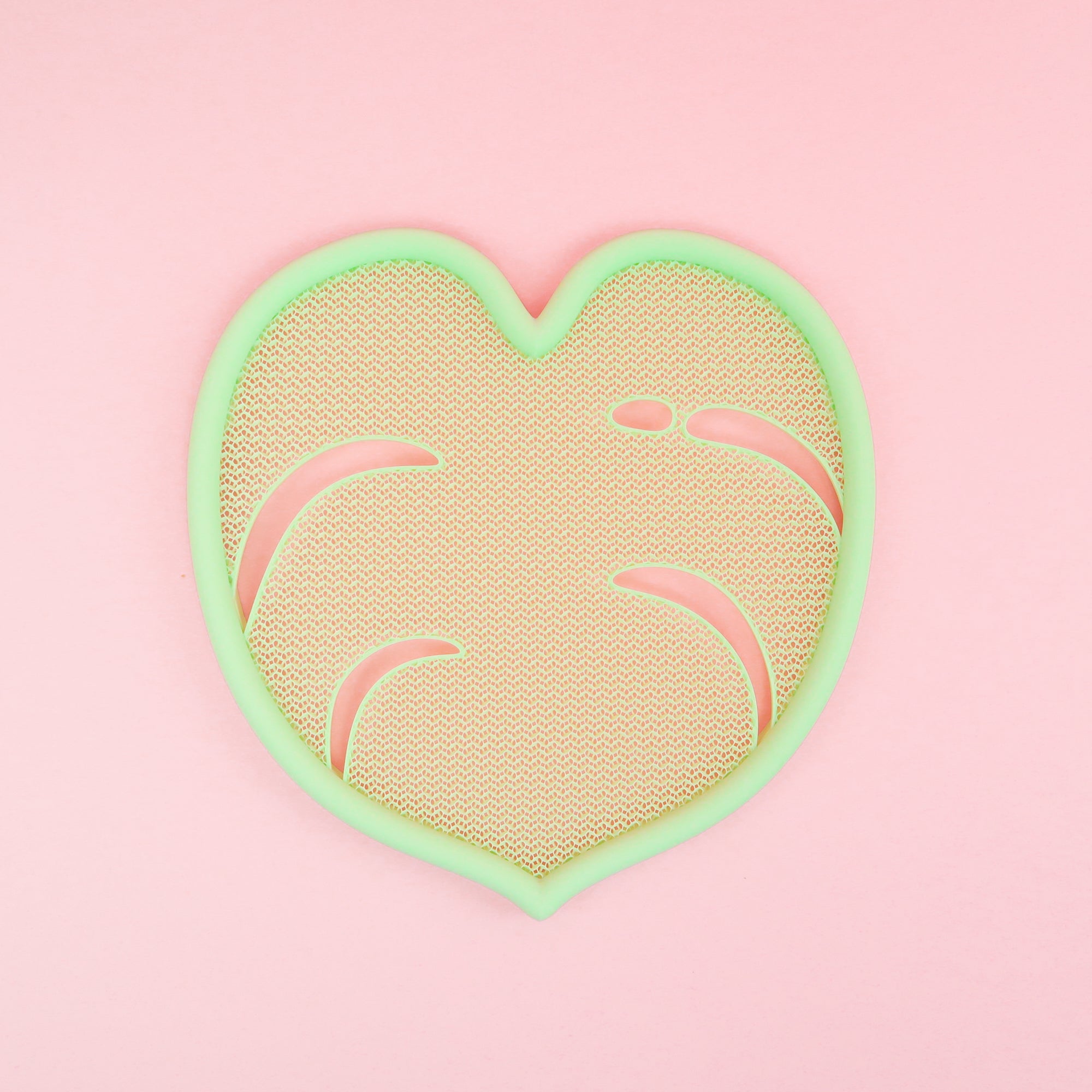 [Preorder: late October] Monstera Leaf Pin Display